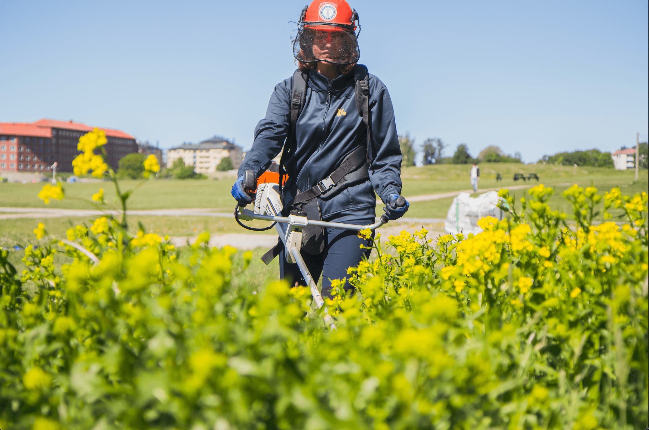 Ungdomskraft worker doing garden maintenance β household service qualifying for the RUT tax deduction for pensioners