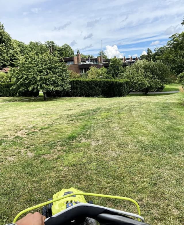 Ungdomskraft på sociala medier