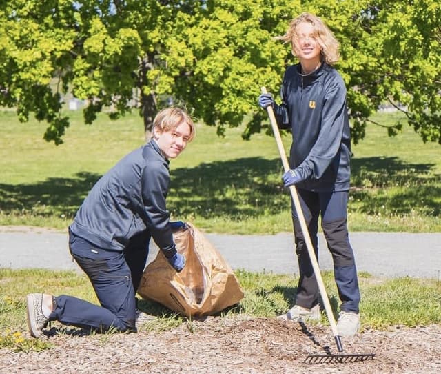 Ungdomskraft på sociala medier