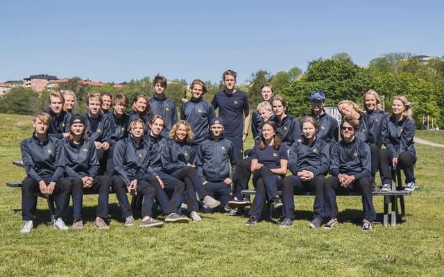 Ungdomskraft på sociala medier