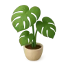 Flowers & gifts – Bicycle Courier Stockholm | Ungdomskraft